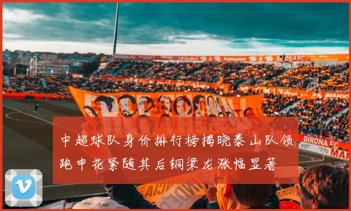 中超球队身价排行榜揭晓泰山队领跑申花紧随其后铜梁龙涨幅显著