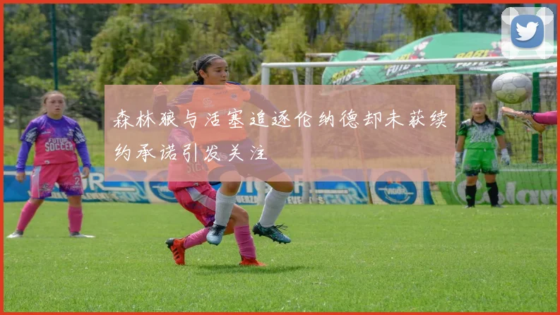 森林狼与活塞追逐伦纳德却未获续约承诺引发关注
